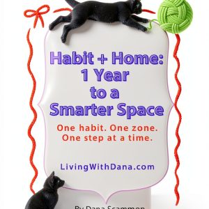 Household Hints and Cleaning Tips for a Tidy Home-0